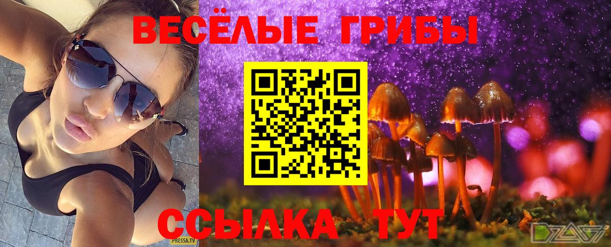 Галлюциногенные грибы мицелий Нововоронеж